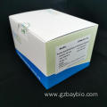 Baybio CE registered 96T Nucleic Acid Extraction Kit